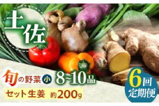 【6回定期便】 土佐の太陽をいっぱいに浴びた旬の野菜生姜約200gのセット「小」 【土佐野菜】 [ATBA012]