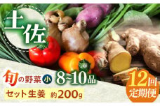 【12回定期便】 土佐の太陽をいっぱいに浴びた旬の野菜生姜約200gのセット「小」 【土佐野菜】 [ATBA013]