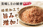 土佐の鰹節屋 鰹本節パックお徳用 (約3g×10パック入り) × 7袋 【森田鰹節株式会社】 [ATBD010]