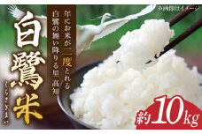 【令和6年度産】 農薬節減！ 白鷺米 コシヒカリ 約10kg / 高知 米 お米 精米　【津ノ宮農園】 [ATBV002]