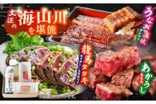 「土佐の海 川 山」 鰹たたき うなぎ蒲焼き あかうしセット かつお 鰹 藁焼き カツオ 鰻 うなぎ 赤牛 あか牛 牛肉 【株式会社Dorago】 [ATAM008]