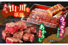 「土佐の山 川」 高知県産うなぎ蒲焼と土佐あかうしももセット 【株式会社Dorago】 [ATAM010]