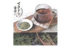 イタドリ葉茶 約48g (約4g×12包) ティーバッグ お茶 いたどり 春の山菜 山菜の里 高知 土佐 【グレイジア株式会社】 [ATAC517]