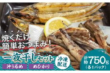 沖うるめ めひかり一夜干しセット 【有限会社第一物産】 [ATCS005]
