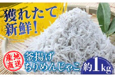 【産地直送】新鮮釜揚げちりめんじゃこ 約1kg 【土居海産】 [ATBT001]