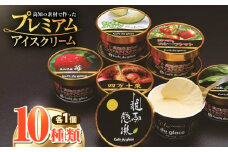 無添加　プレミアムアイスクリーム（10個入り） [ATCL004]