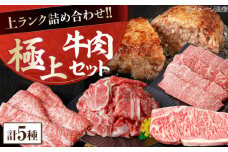 上ランク 牛肉詰め合わせ 総計約4.59kg 牛肉 国産 焼肉 焼き肉 すき焼き 切り落とし サーロインステーキ ハンバーグ 【(有)山重食肉】 [ATAP010]