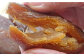 干しいも ほしいも 紅はるか 小分け 国産 さつまいも 芋 お菓子 おやつ デザート 和菓子 スイーツ ギフト イモ 高知