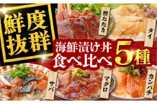 高知の魚5種類が味わえる海鮮漬け丼セット タイ マグロ カンパチ 鰹たたき サバ 【株式会社 七和】 [ATAX007] 海鮮 漬け丼 づけどん セット パック 小分け タイ たい 鯛 マグロ まぐろ 鮪 カンパチ かんぱち 鰹たたき カツオ サバ さば 鯖 おかず 簡単