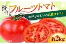 【申込は6月下旬頃まで】高知県高知市産 贅沢フルーツトマト 約2kg 【片山農園】トマト とまと  高知 フルーツ 果物 [ATCI001]