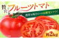 【先行予約】高知県高知市産 贅沢フルーツトマト 約2kg 〈2025年2月～発送〉【片山農園】 [ATCI001]