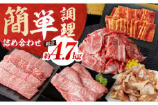 簡単調理! お肉の詰め合わせ 総計約4.7kg 牛肉 鶏肉 豚肉 国産 小分け 食べ比べ 【(有)山重食肉】 [ATAP009]