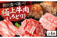 牛肉 いろどりセット 総計2.5kg 切り落とし すき焼き 焼肉 ハンバーグ 【(有)山重食肉】 [ATAP059]