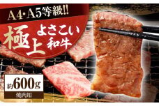 高知県産 よさこい和牛 焼肉用 約600g 牛肉 国産 焼き肉 BBQ A4 A5 【(有)山重食肉】 [ATAP063]