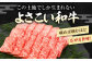 高知県産 よさこい和牛 焼肉用 約600g 牛肉 国産 焼き肉 BBQ A4 A5  [ATAP063]