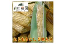 とうもろこし 5本入り | 森田農園 日曜市農家8代目 高知きび街道近隣 【グレイジア株式会社】 [ATAC402]