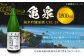 亀泉 純米吟醸原酒CEL-24 1800ml 1本 /日本酒 地酒 高知 四国 酒 【近藤酒店】 [ATAB151]