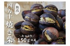 熟成四万十栗焼き栗の詰め合わせ (約150g×4袋入り)/ クリ 秋の味覚 高知 栗 【株式会社いちじゃもの】 [ATCB003]