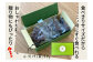 熟成四万十栗焼き栗の詰め合わせ (約150g×4袋入り)/ クリ 秋の味覚 高知 栗 【株式会社いちじゃもの】 