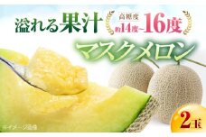 【先行予約】高知市 春野町産 マスクメロン 2玉 (約2.8kg~約3.4kg 箱重量込み) 〈2025年9月～発送〉 【片山農園】 [ATCI002]