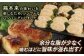 土佐はちきん地鶏ハンバーグ 約60g×18個 【株式会社　羽根】 [ATCK009]