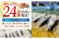 魚介類 魚 お魚 刺身 初鰹 戻り鰹 かつお カツオ なまがつお 高知 新鮮 冷蔵