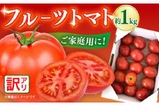 【訳あり】高知市産 ご家庭用フルーツトマト約1kg〈2025年1月より発送開始〉トマト とまと  高知 フルーツ 果物 訳アリ【株式会社 堀】[ATDA007]