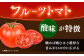 【先行予約】高知市産 ご家庭用フルーツトマト約1kg〈2025年1月～発送〉 【株式会社 堀】 [ATDA007]