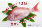 高知産「真鯛」炊込みの素 3合炊込み用タレ付 【興洋フリーズ株式会社】 [ATBX009]