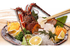 伊勢海老 3匹入 約900g〜1.2kg 活き イセエビ いせえび 刺身 海鮮 御中元 お中元 敬老の日 ギフト 贈り物 プレゼント 伊勢エビ 伊勢えび 高級食材 送料無料【土佐黒潮水産】 [ATCQ008]
