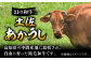 あか牛 赤牛 赤身 牛肉 ブロック 肉 熟成肉 お肉 和牛 国産 牛 熟成肉 ブロック肉 高知 土佐 冷凍