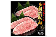 エイジング工法 熟成肉 土佐あかうし 特選サーロイン ステーキ 約800g 冷凍 (約200g×4枚) 【株式会社LATERAL】 [ATAY028]