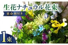 季節のおすすめ生花ナチュラル花束 ブーケ 1束 【株式会社tomoni】 [ATCG017]