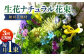 【3回定期便】生花ナチュラル花束 ブーケ初回花瓶付 【株式会社tomoni】 [ATCG020]