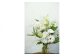 季節のおすすめ生花花束一対 お供え 供花 【株式会社tomoni】 [ATCG029]
