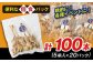 高知県産四万十鶏 もも串 (塩) 100本 【株式会社　羽根】 [ATCK005]