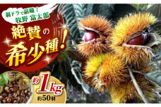 【先行予約】ほくほく甘い！熟成した夢甘栗 高級生栗＜秀品規格＞ 約1kg (約50個前後) 【仁淀川流域夢甘栗生産者組合 くり蔵】栗 くり 季節 秋 旬頃 直送 [ATDR002]