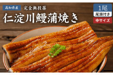 高知県産うなぎ蒲焼き 中1尾 約150g【池澤鮮魚オンラインショップ】 完全無投薬 仁淀川 国産 うなぎ蒲焼き ギフトセット うな重 ひつまぶし ウナギ 蒲焼 蒲焼き 鰻蒲焼き うなぎ 高知県 高知市 土佐 鰻 おすすめ ウナギ 贈り物 贈答 [ATBE005]