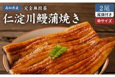 高知県産うなぎ蒲焼き 中2尾 合計約300g【池澤鮮魚オンラインショップ】 完全無投薬 仁淀川 国産 うなぎ蒲焼き ギフトセット うな重 ひつまぶし ウナギ 蒲焼 蒲焼き 鰻蒲焼き うなぎ 高知県 高知市 土佐 鰻 おすすめ ウナギ 贈り物 贈答 魚 魚介 グルメ 絶品 人気 [ATBE006]