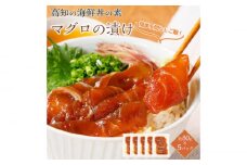【訳あり】高知の海鮮丼の素「マグロの漬け」約80g×5パック 【興洋フリーズ株式会社】 [ATBX030] 訳あり 不揃い 規格外 訳アリ ワケあり