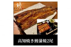 高知焼き鰻蒲焼2尾【鰻HASHIMOTO】 [ATDX005]