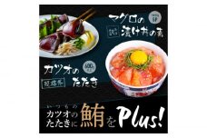 【訳あり】規格外カツオたたき 約600g＋マグロ漬け丼の素 約80g×5パック 【興洋フリーズ株式会社】 [ATBX044] 訳あり 不揃い 規格外