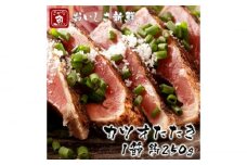 カツオたたき1節 大きいサイズ 約250g 【興洋フリーズ株式会社】 [ATBX063] かつお 鰹 カツオ たたき カツオたたき タタキ かつおのたたき かつおのタタキ カツオのたたき 高知市 高知