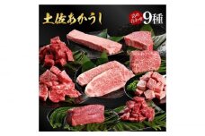 熟成肉 土佐あかうし 詰め合わせ9種 【株式会社LATERAL】 [ATAY078]
