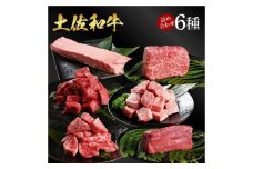 熟成肉 土佐和牛 詰め合わせ6種 【株式会社LATERAL】 [ATAY079]