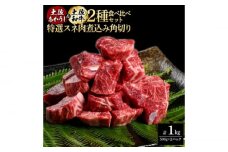 熟成肉 土佐あかうし 土佐和牛2種食べ比べ 特選スネ肉煮込み角切り 約1kg (約500g×各1) 【株式会社LATERAL】 [ATAY088]