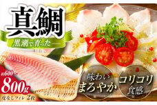 土佐黒潮真鯛・フィレ（皮なし）2枚（約600～800g）【株式会社　羽根】 [ATCK013]