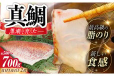 土佐黒潮真鯛の湯引き（皮付き）2枚（約500～700g）【株式会社　羽根】 [ATCK014]