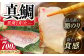 土佐黒潮真鯛の湯引き（皮付き）2枚（約500～700g）【株式会社　羽根】 [ATCK014]