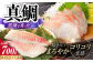 土佐黒潮真鯛ロイン（皮なし）2枚（約500～700g）【株式会社　羽根】 [ATCK015]